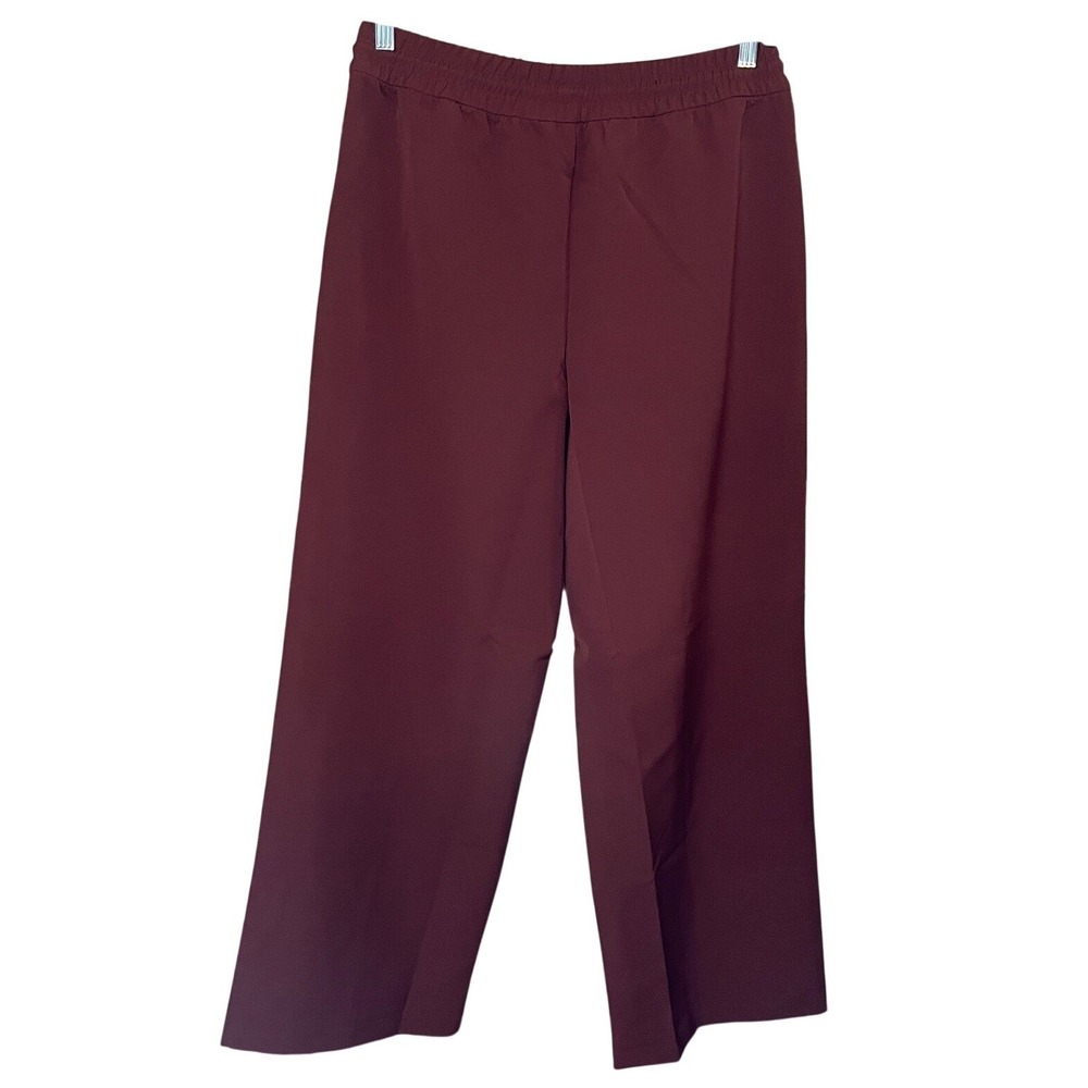 Athleta Endeavor‎ Relaxed Pant Mahogany Wide Leg Drawstring NWT Womens M - Picture 3 of 9